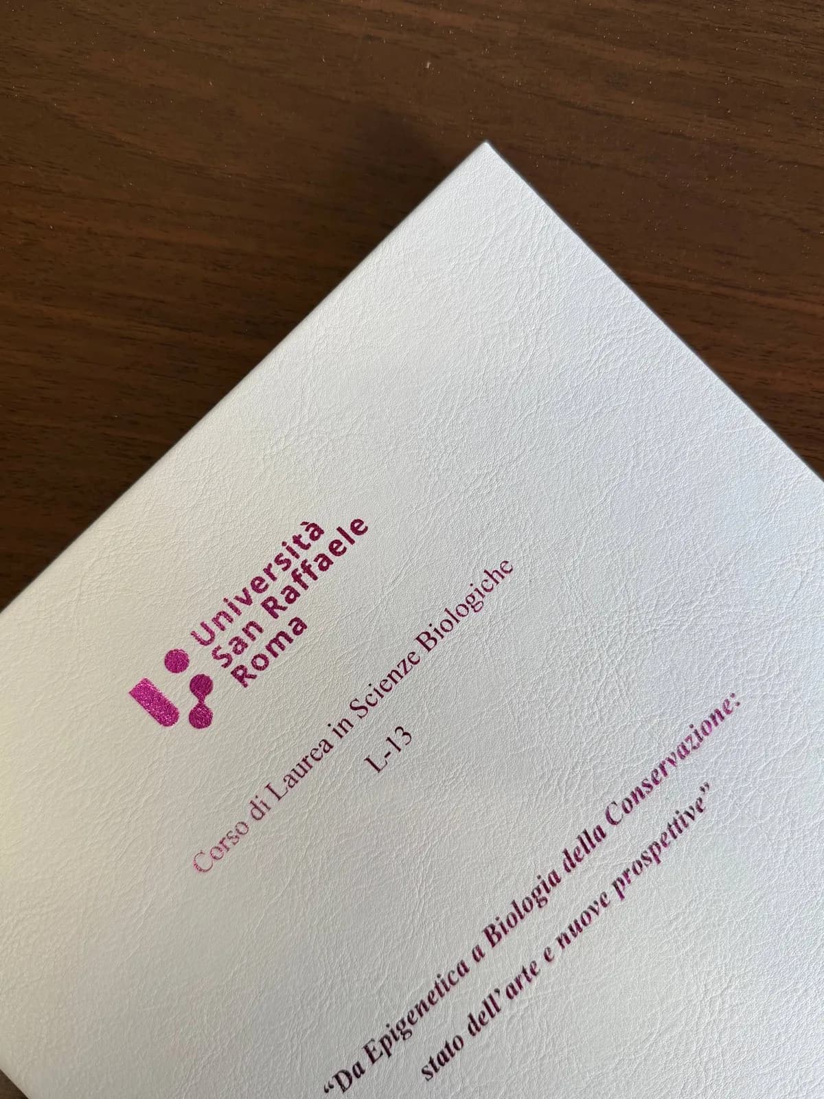 Vetrina Tesilandia 2