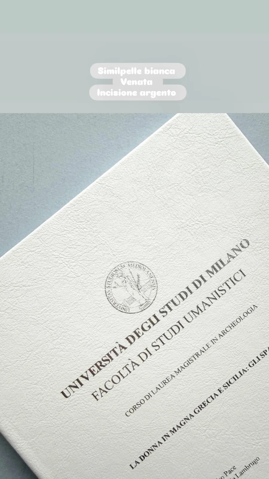 Vetrina Tesilandia 6