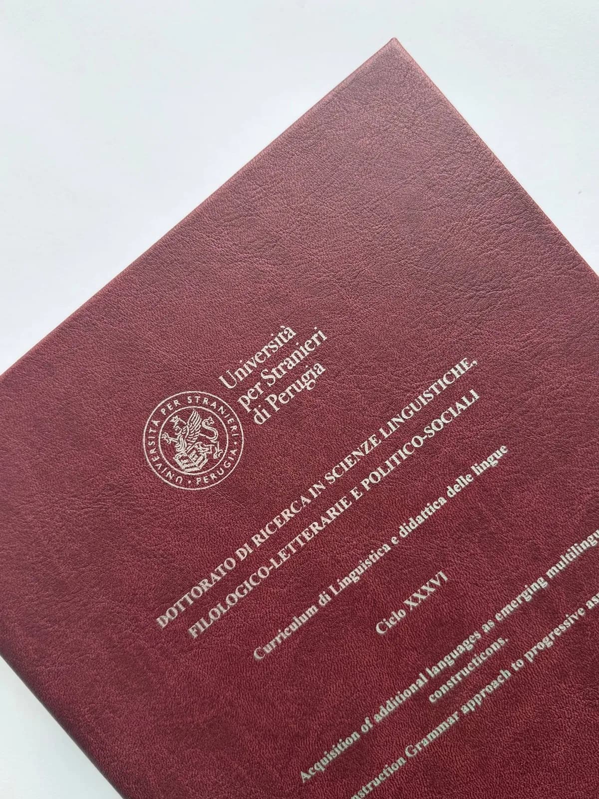 Vetrina Tesilandia 10